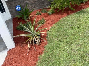 Wanda S.'s Mulching service result