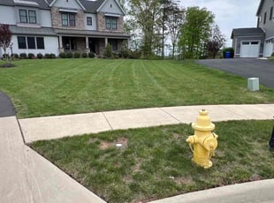 Gary S.'s Lawn Service service result
