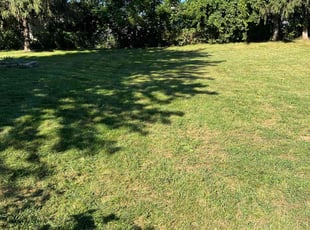 Don K.'s Yard Cutting service result