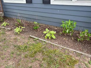 Weeding by Landon Millett for Jimmy F. in Nashville, TN