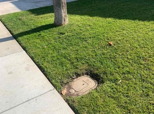 Torea B.'s Lawn Care service result