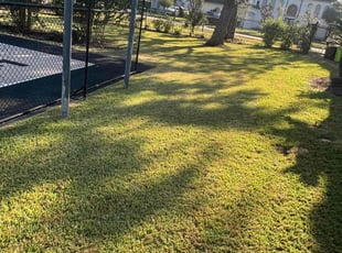 Eva B.'s Lawn Care service result