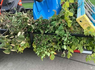 Cleanups by Joshua Hall for Kenneth T. in Hamilton, OH