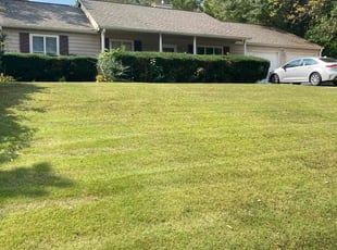 Robert L.'s Lawn Service service result