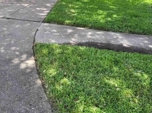Maria D.'s Lawn Mowing Service service result