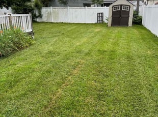 Camille R.'s Lawn Care service result