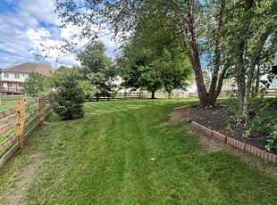 Cheryl C.'s Lawn Service service result