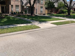 Pat D.'s Lawn Mowing service result