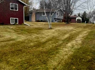 Leaf Removal by Jeremy Osell for Susan D. in Plymouth, MN