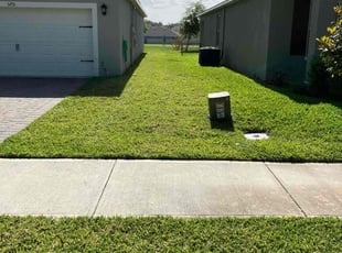 Dominique T.'s Lawn Service service result