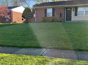 Ben U.'s Yard Cutting service result
