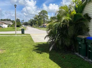 michael p.'s Grass Cutting service result