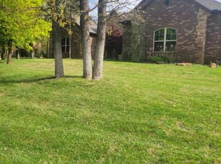 Kale H.'s Lawn Mowing service result