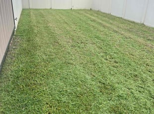 Jeff W.'s Lawn Service service result