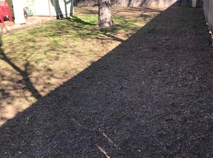 Cleanups by Casey Diaz for Dax D. in Austin, TX