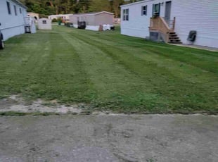 Mike C.'s Lawn Care service result