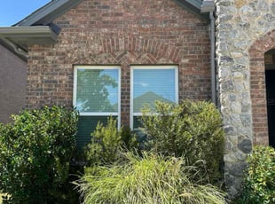 Shanon Y.'s Bush Trimming service result