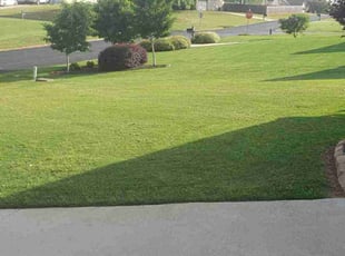 Stephany G.'s Grass Cutting service result