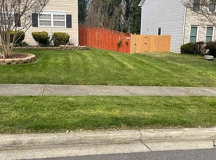 Khara N.'s Lawn Mowing service result