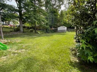 Herbert H.'s Lawn Mowing service result