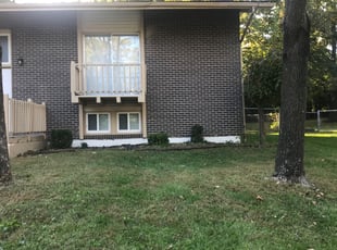 Bush Trimming by Bryan Fletcher for Tiara W. in Kansas City, MO