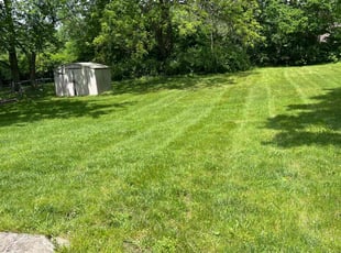 Michael B.'s Lawn Service service result