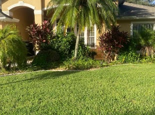 Weeding by Saranne Ostler for Derek M. in Port Orange, FL