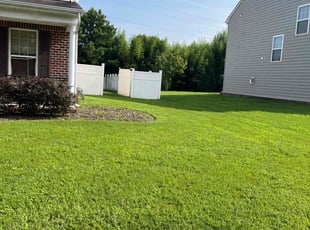 Jaime J.'s Lawn Maintenance service result