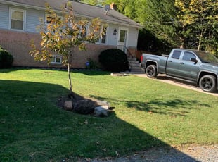 Lindsay H.'s Yard Cutting service result