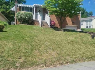 Dean R.'s Lawn Mowing Service service result