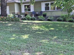 william w.'s Grass Cutting service result
