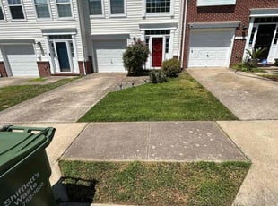 LaShawna T.'s Lawn Maintenance service result
