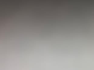 Brittany K.'s Bush Trimming service result