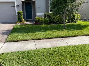 Paul P.'s Yard Cutting service result