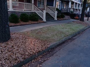 Leaf Removal by King Odeh for Tino L. in Douglasville, GA