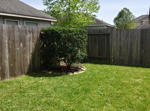 Bush Trimming by Frank Villalobos for Marion T. in Houston, TX