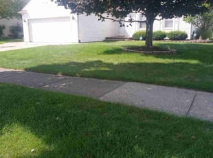 Kael V.'s Yard Cutting service result