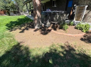 Leaf Removal by David Williams for Carmen G. in Centennial, CO