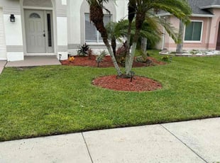 Daniel R.'s Lawn Mowing Service service result