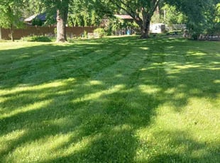 darrell h.'s Lawn Care service result
