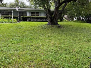 Melissa C.'s Lawn Maintenance service result
