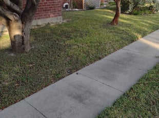 Cleanups by Joseph Thompson for Neil Q. in Corpus Christi, TX