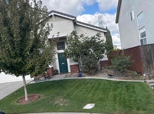 Andrew F.'s Yard Cutting service result