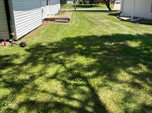 William H.'s Lawn Mowing Service service result