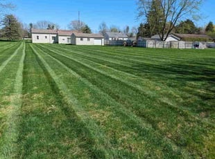 Jessica C.'s Lawn Mowing service result