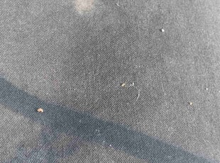 Joseph P.'s Bush Trimming service result