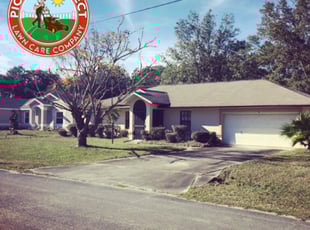 Leaf Removal by Bradley Cohen for Charmaine I. in Palm Coast, FL