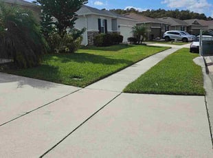 Sandra S.'s Lawn Service service result