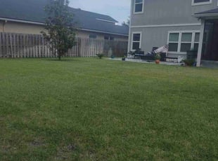 David E.'s Grass Cutting service result