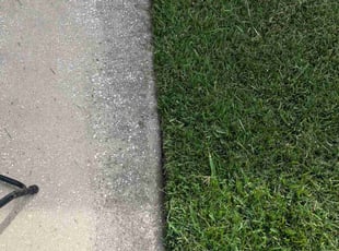 Debbie S.'s Lawn Mowing service result
